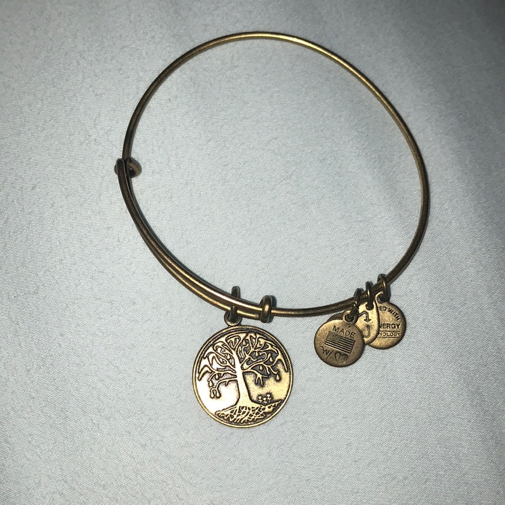 Alex and Ani bracelet
